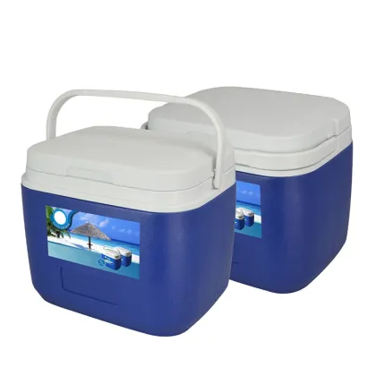 Coolest 5L Insulation Plastic Cooler Box