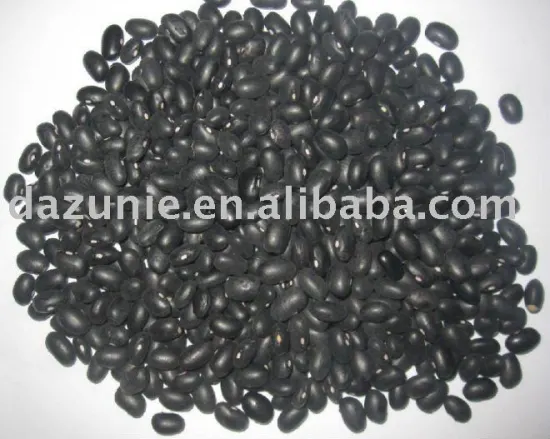 Black Kidney Bean
