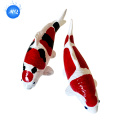 /msite/products/detail/productid/68322076/id/1717112.html