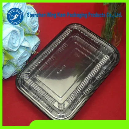Great Sale Lunch Disposable Tray