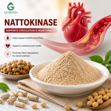 إنزيم Nattokinase لدعم الدورة الدموية للتحلل المائي للفيبرين وتطبيقات التغذية الوظيفية