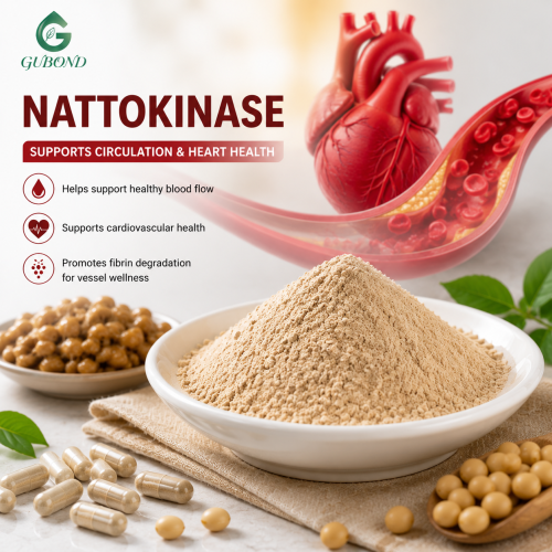 Enzima nattoquinasa para aplicaciones de nutrición funcional y apoyo a la circulación por hidrólisis de fibrina