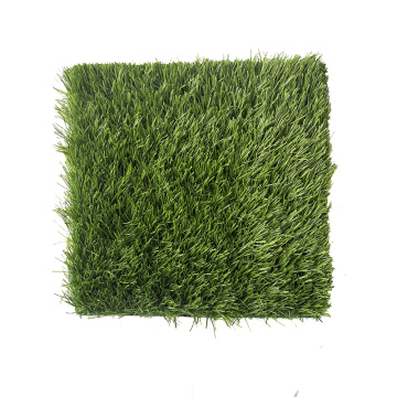 ປອມຂອງຫຍ້ານອກ