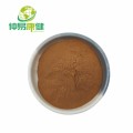 Rheum palmatum Root Powder 10: 1 Extracto de ruibarbo chino