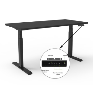 Electric Sit Standing Height Adjustable Desk