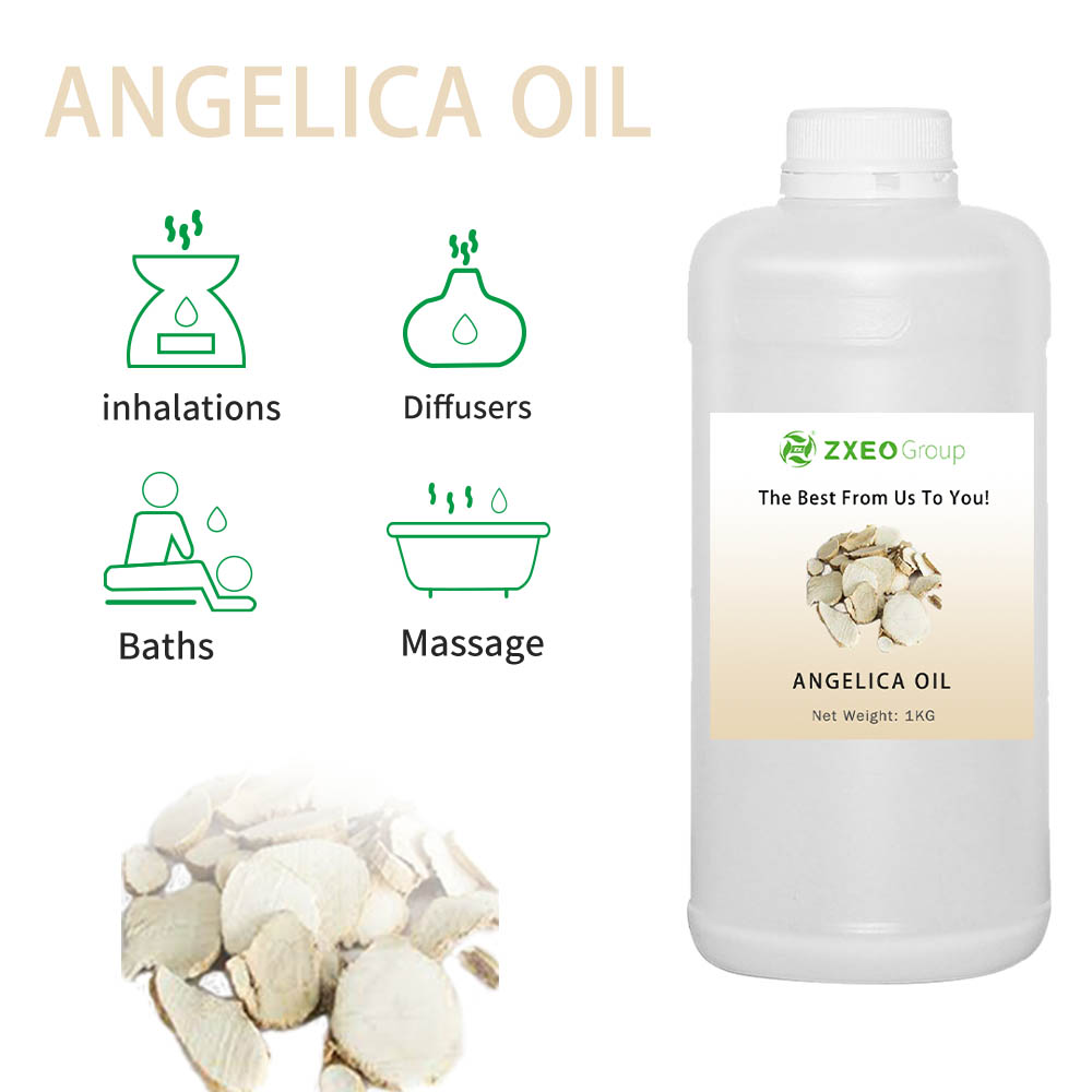 Óleo de extrato de raiz de angelica dahurica natural da Angelica Dahurica para massagem