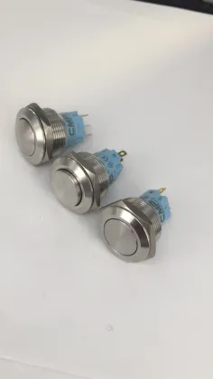 22MM 1NO 1NC Latched Push Button Switch, 4 Legs, Flush Round