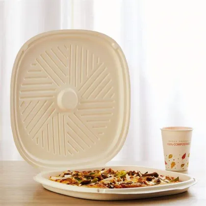 Biodegradable Bagasse Paper Pulp Pizza Box Pizza Tray