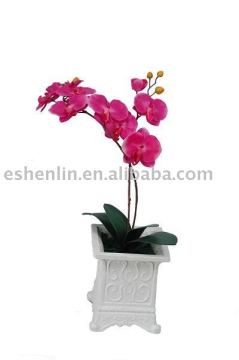 phalenopsis artificial orchid plants