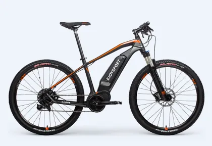 Customized Specialized Electric Mtb