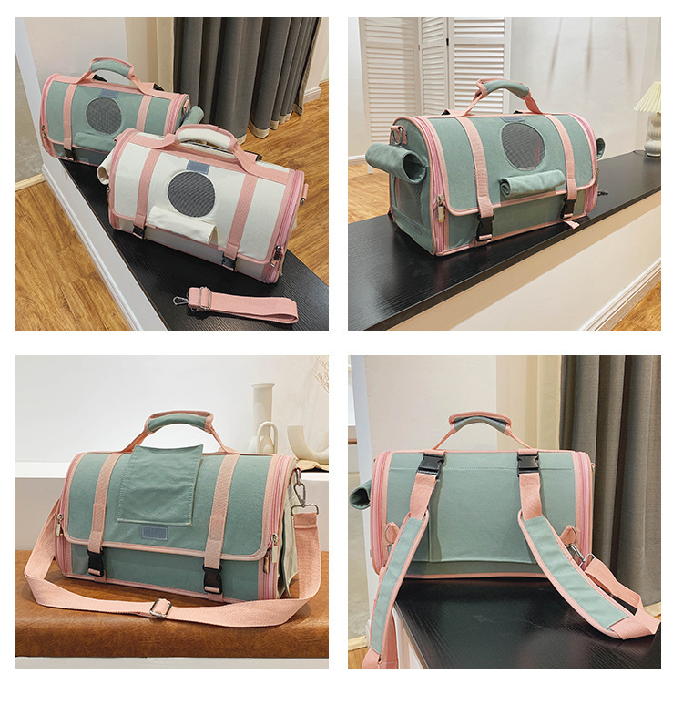 Pet Travel Carrier