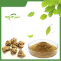 Natural Panax Notoginseng Extract