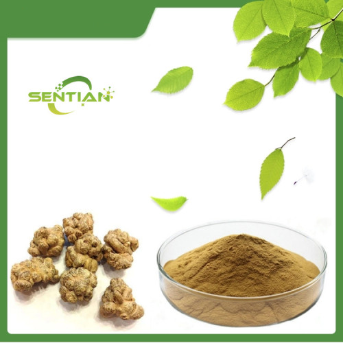 Natural Panax Notoginseng Extract