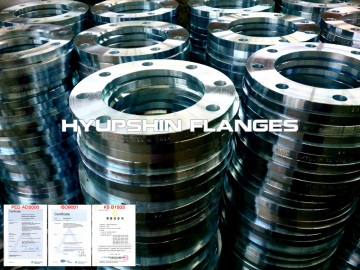 DIN EN1092-1 Steel Pipe Forged Forging Flange