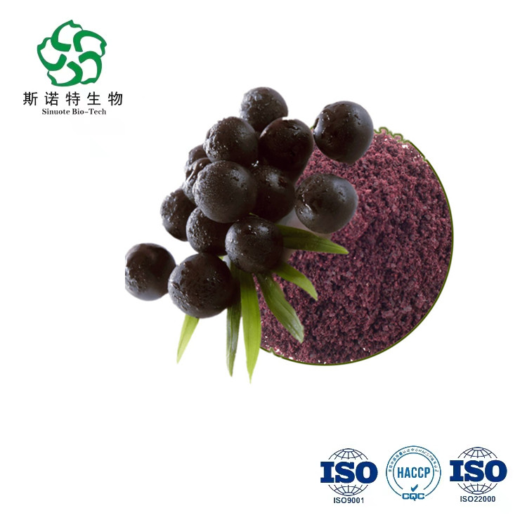 Acai Berry Powder Brazil