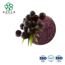 Berry Fruit Powder Brazil Freeze Dried Powder