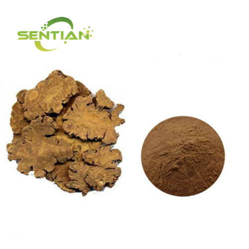 Szechwan Lovage Rhizome Extract