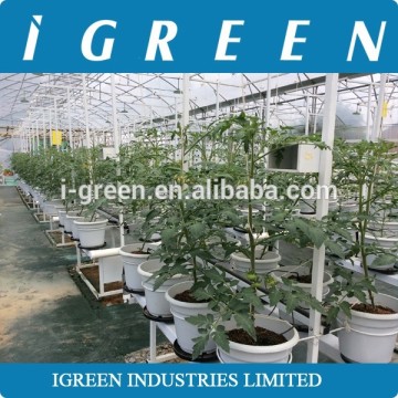 Dutch pot vegetable growing system