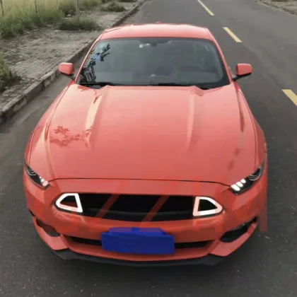 Mustang TRT Grille ABS Plastic Front Grille