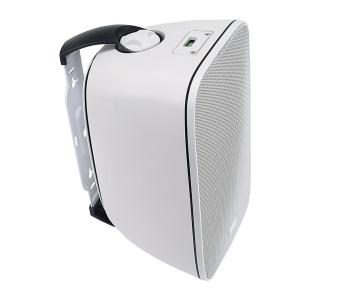 5.25 Inch Carbon Fiber Cones Wall Hanging Speakers