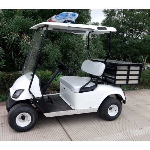 Véhicule utilitaire de chariot de golf de 2 sièges à vendre