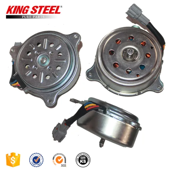 Automotive Radiator Fan Motor for SUNNY N17 21487-1HS0A