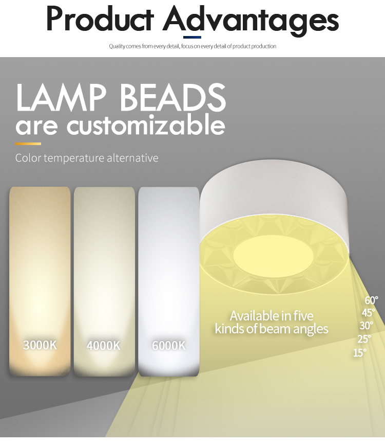 Black And White Surface Mounted Downlight