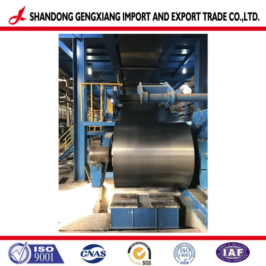 Galvanized Steel Coil Gi /Gl From China