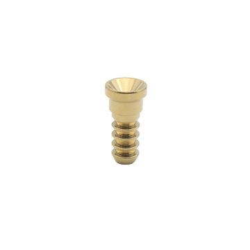 The Brass Hose Adapters