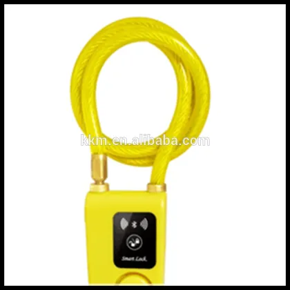 High-end anti-theft bike security door lock