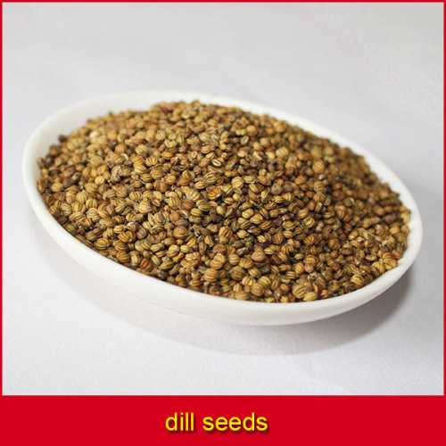 indian dill seeds