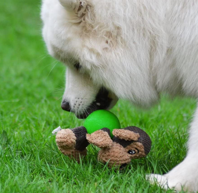 Plush Chew Toy with Squeaker