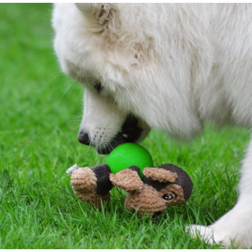 Plush Chew Toy dengan Sceaker