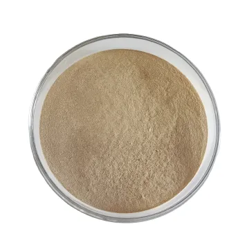 Best Price on High Purity Neutral Protease Enzyme: Enhancing Feed Protein Utilization through Advanced Proteolytic Enzymes