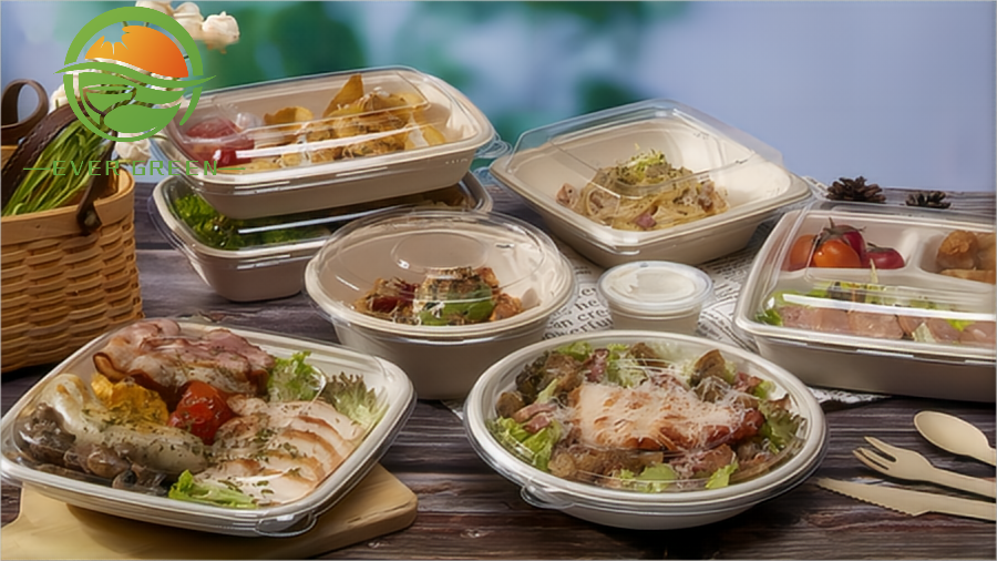 Biodegradable Sugarcane Fiber Bagasse Pulp Products Tray