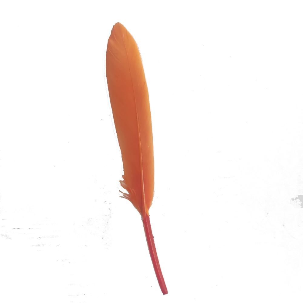 Orange Goose Feather