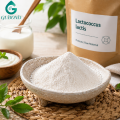 Polvo de Lactococcus Lactis de alta potencia