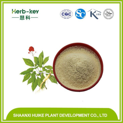 China Ginseng Extract, Ginsenosides, Panax Ginseng Root Extract Manufactory