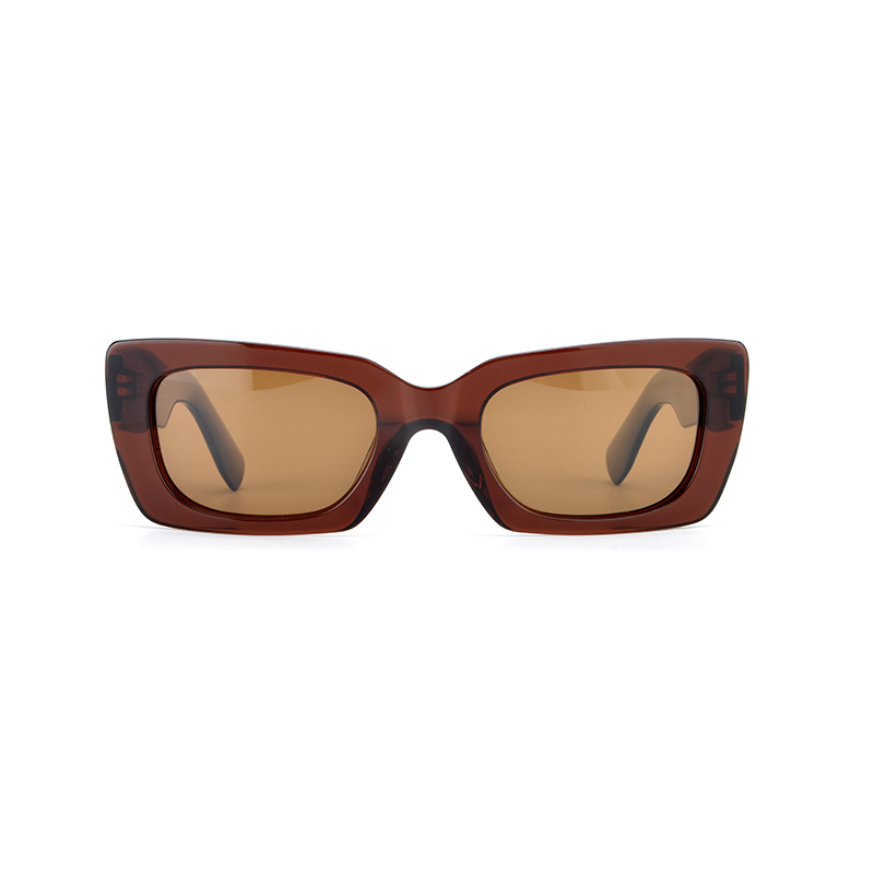 Acetate Frames Sunglasses 4