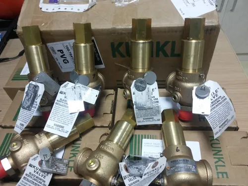 FM Approved Safety and Relief Valve