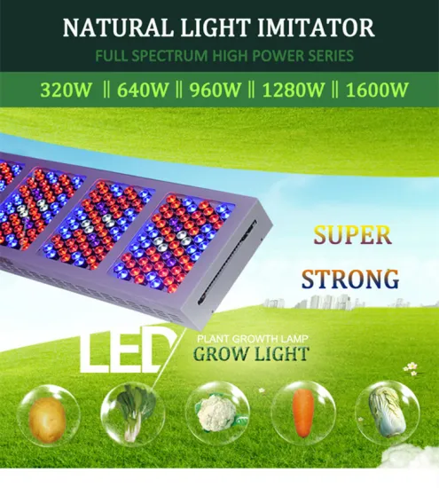 New Arrival 320W-1600W High Power LED Grow Light Hydroponic System LED Grow Light is Suitable for Various Stages of Plant Growth
