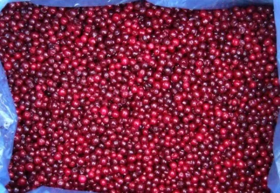 Frozen Cowberry
