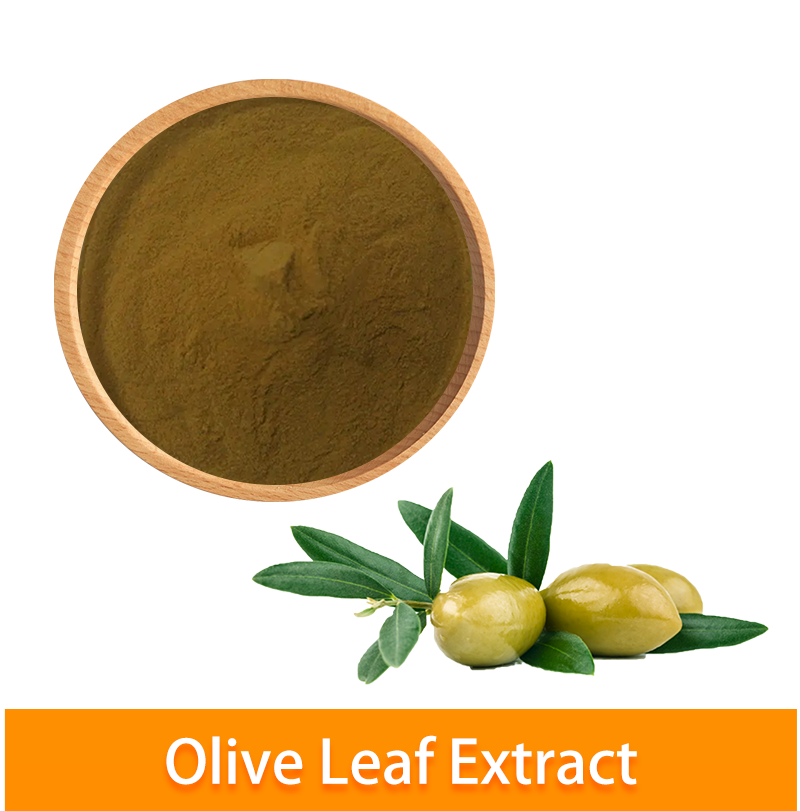 High Quality Bulk Hydroxytyrosol Olive Leaf Extract Powder