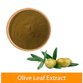 Polvo de extracto de hojas de oliva de hidroxitosol de alta calidad a granel