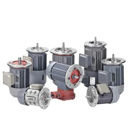 ABB Siemens Weg Electric Motor 230/380 AC Voltage with CE Certification
