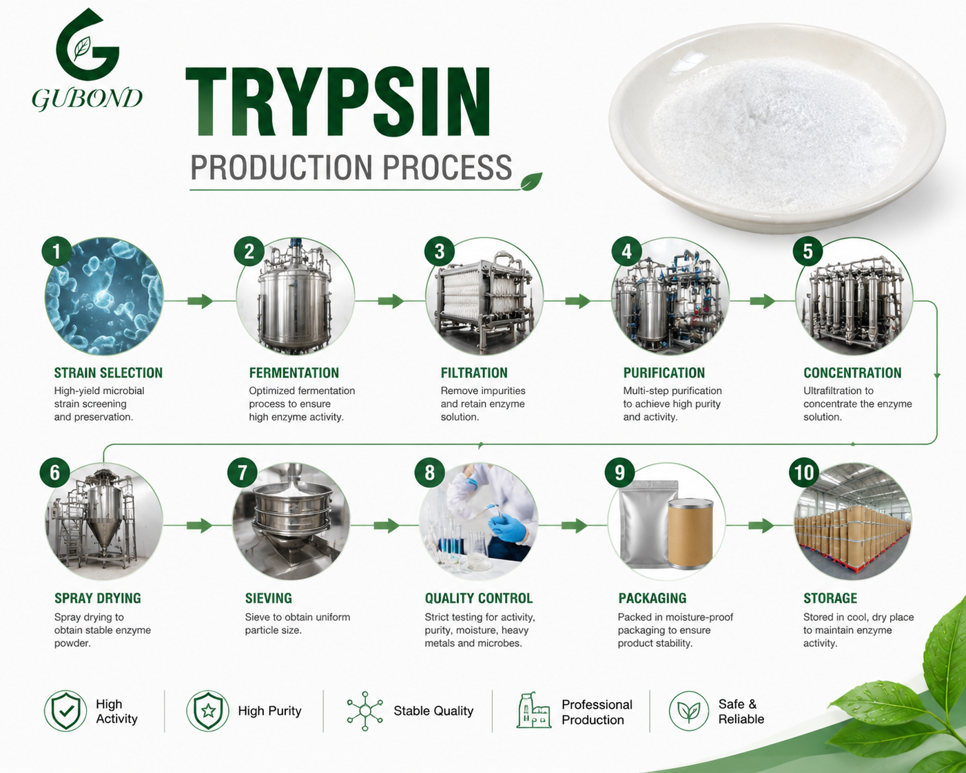 Trypsin