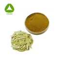 Senna Leaf Extract Powder Sennoside 20 ٪