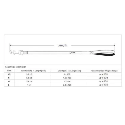 Dog Leash Print Turquoise Scent Inspired Floral Rose