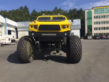Desert sightseeing Off-road vehicle