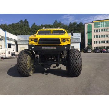 Desert sightseeing Off-road vehicle